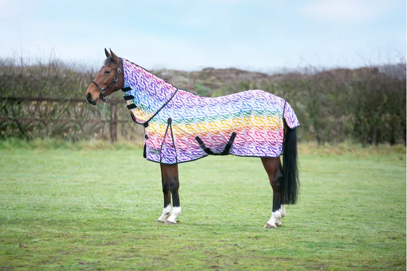 StormX Original Rainbow Zebra Print Fly Rug